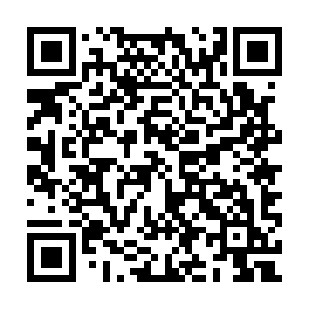 QR code for ZI519K