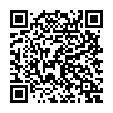 QR code for ZI553B