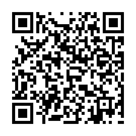QR code for ZI596U