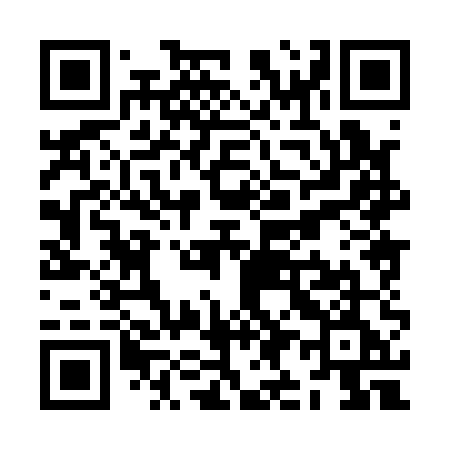 QR code for ZI815E