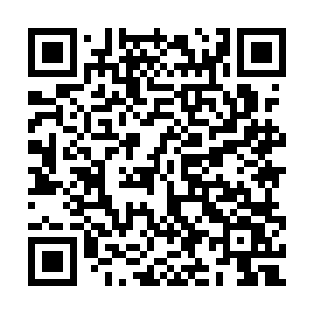 QR code for ZI91LV