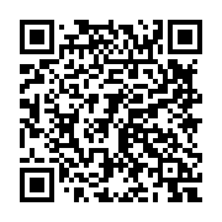 QR code for ZI980A