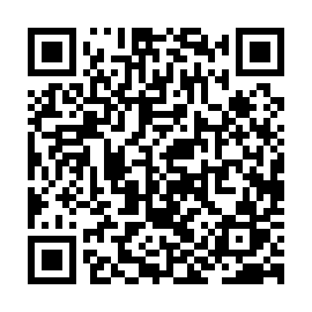 QR code for ZIP11R