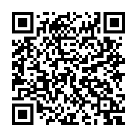 QR code for ZJ95SC