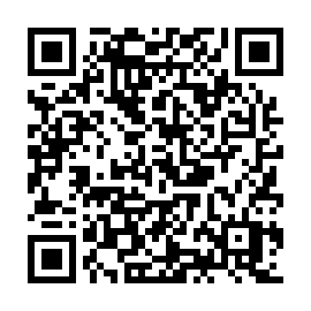 QR code for ZJD13T