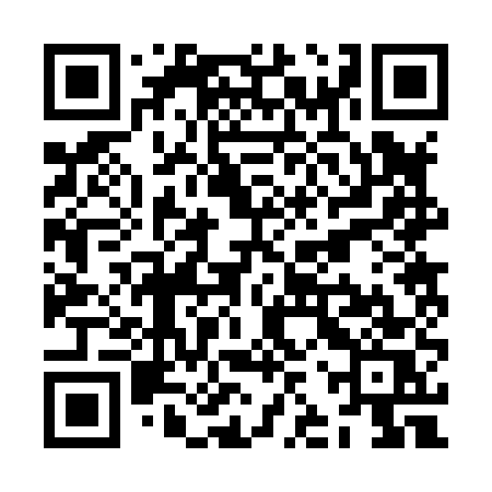 QR code for ZJR85S