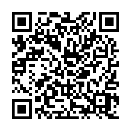 QR code for ZK491W