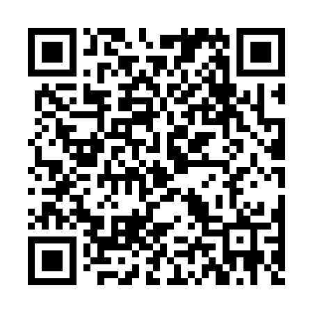 QR code for ZL133P