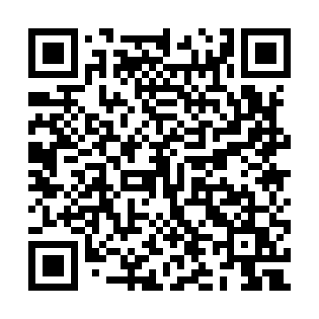 QR code for ZL195U