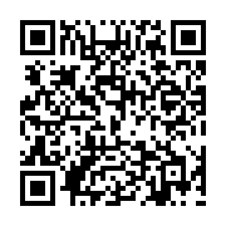 QR code for ZLH28H
