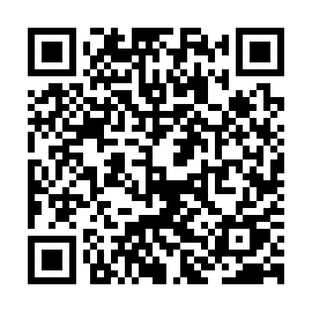 QR code for ZLV31U