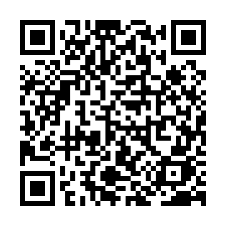 QR code for ZM517J