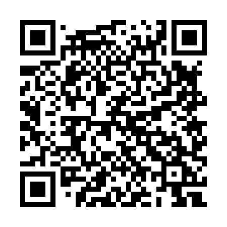 QR code for ZO788G