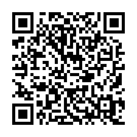 QR code for ZO980M