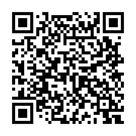 QR code for ZP315I