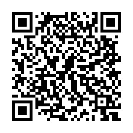 QR code for ZP355R