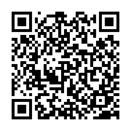 QR code for ZP375T