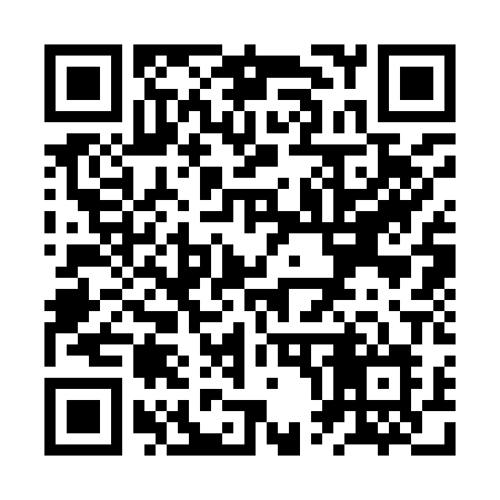 QR code for ZP390L
