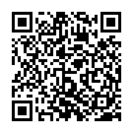QR code for ZPHN61