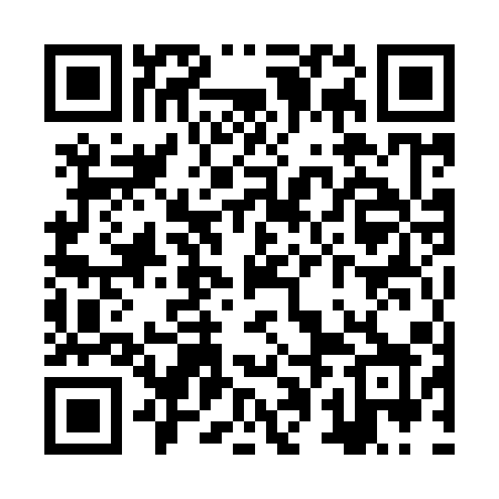 QR code for ZPM91X