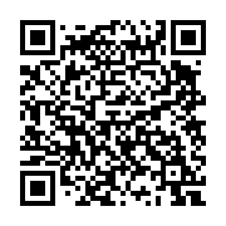QR code for ZS241M