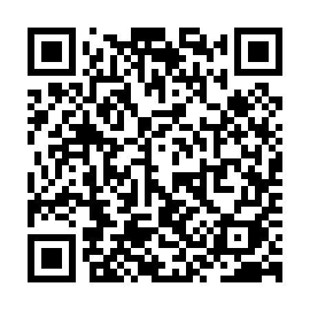 QR code for ZS305I
