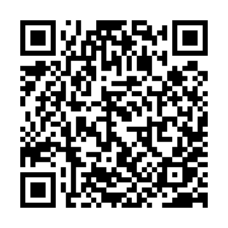 QR code for ZS658P
