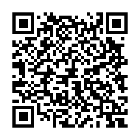 QR code for ZT403A