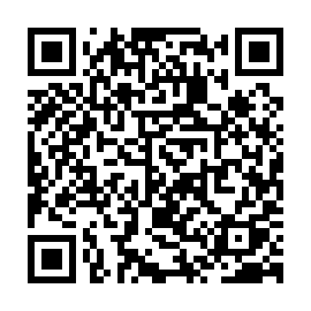 QR code for ZT519Q