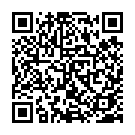 QR code for ZT665A