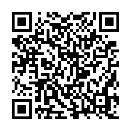 QR code for ZV17NN