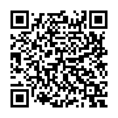QR code for ZW393T