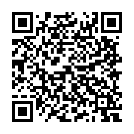 QR code for ZW958X