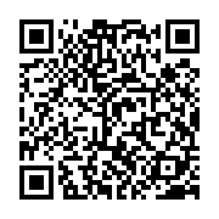 QR code for ZWJU09