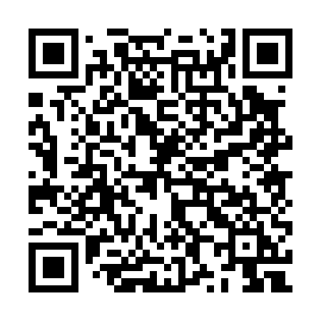 QR code for ZX005I