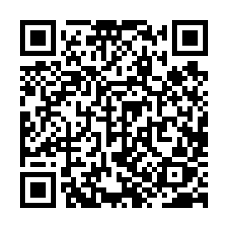 QR code for ZX069Z