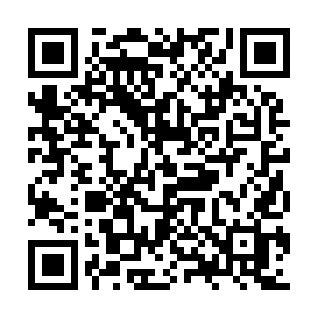 QR code for ZX295H