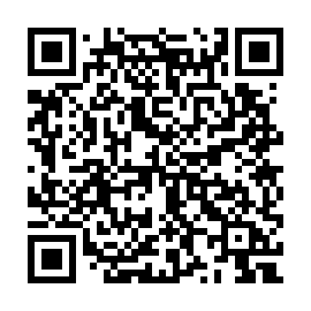 QR code for ZX378A