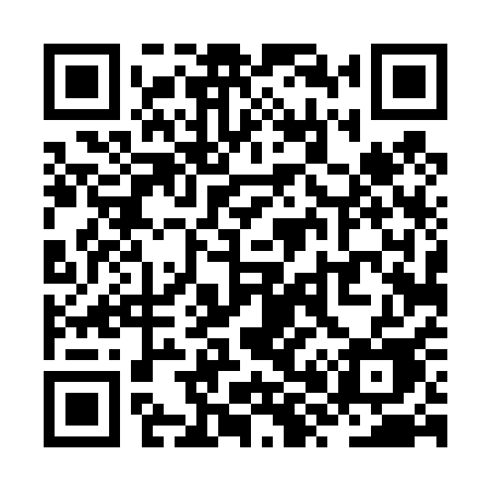 QR code for ZX441E