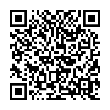 QR code for ZXC91H