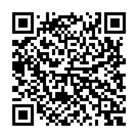 QR code for ZXD96B