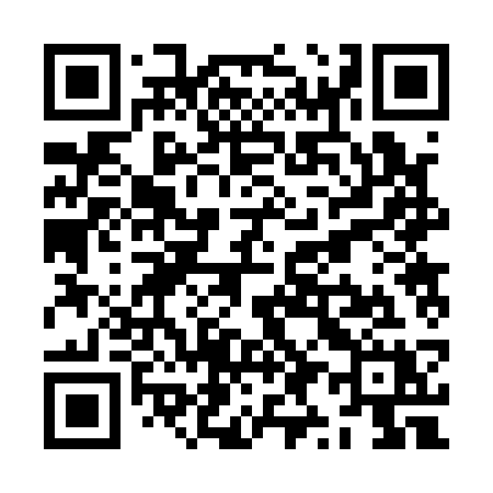 QR code for ZY213X