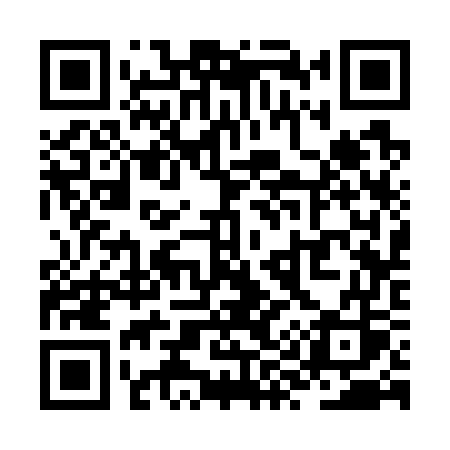 QR code for ZY377S