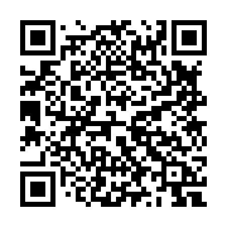 QR code for ZY387B
