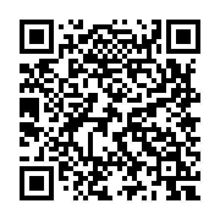 QR code for ZY595N
