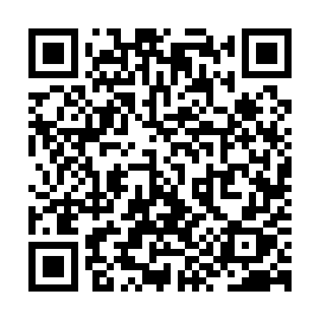 QR code for ZY615X