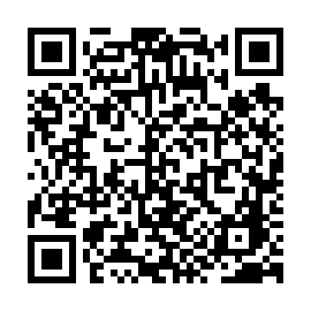 QR code for ZY666G
