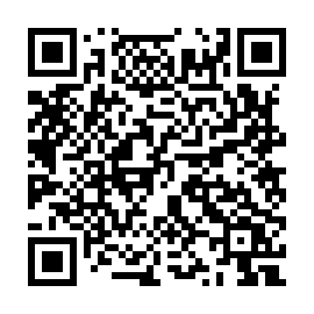 QR code for ZZ290V