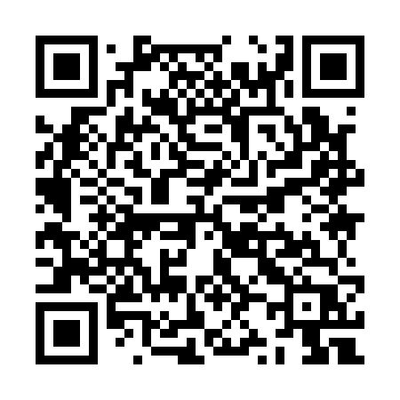 QR code for ZZ916P