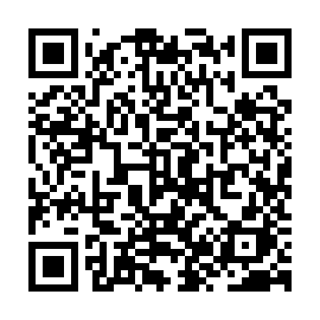 QR code for ZZ91ZH